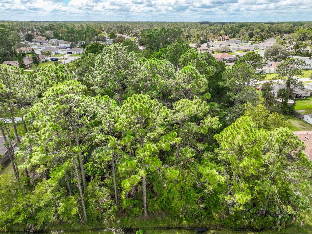Photo of 28 Phoenix Lane, Palm Coast, FL 32164 (MLS # FC313425)