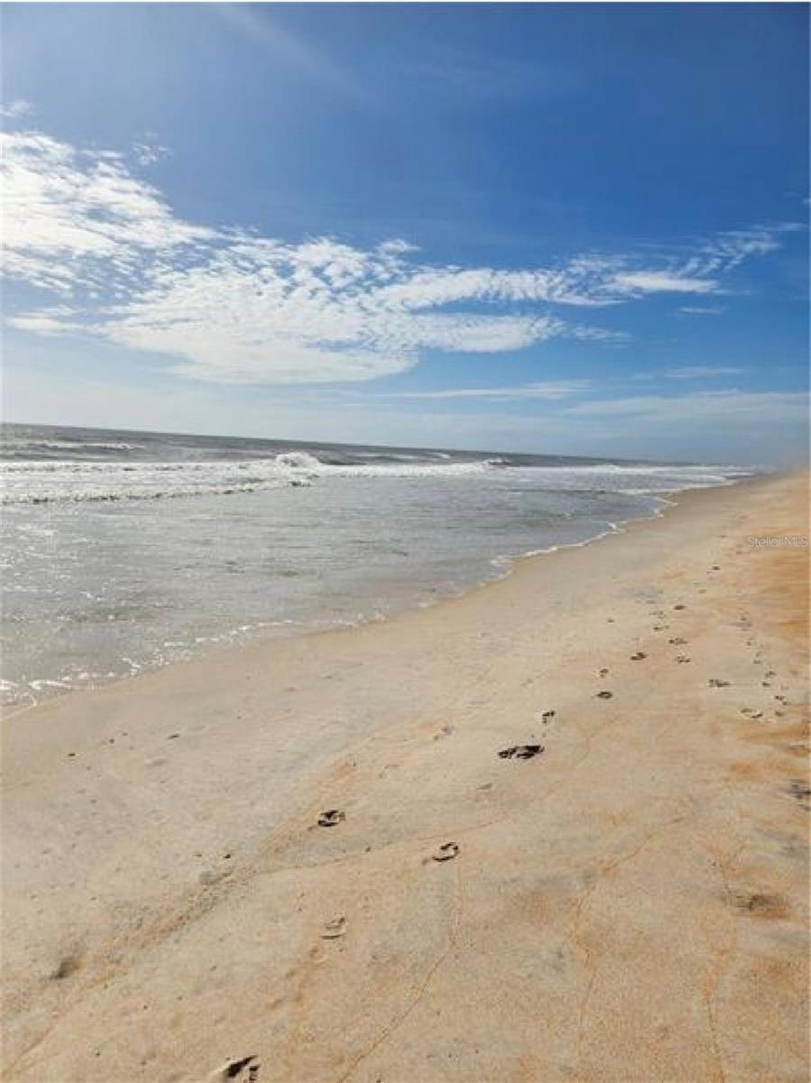 PALM HAVEN SUB - Residential