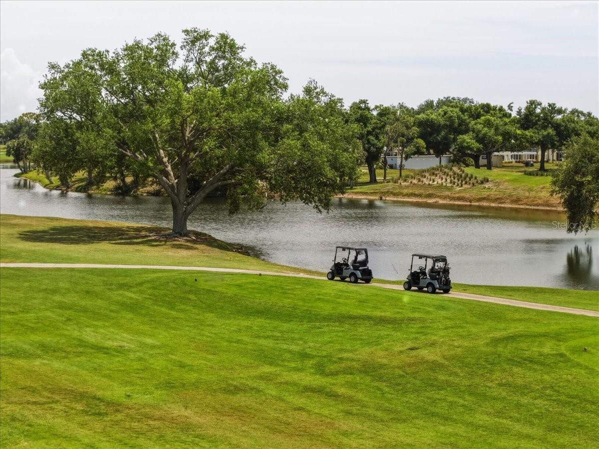 EIGHTH FAIRWAY - Residential
