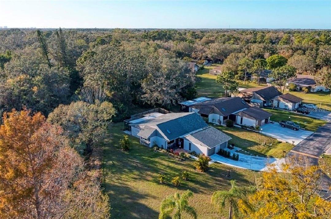 CEDAR HAMMOCK - Residential