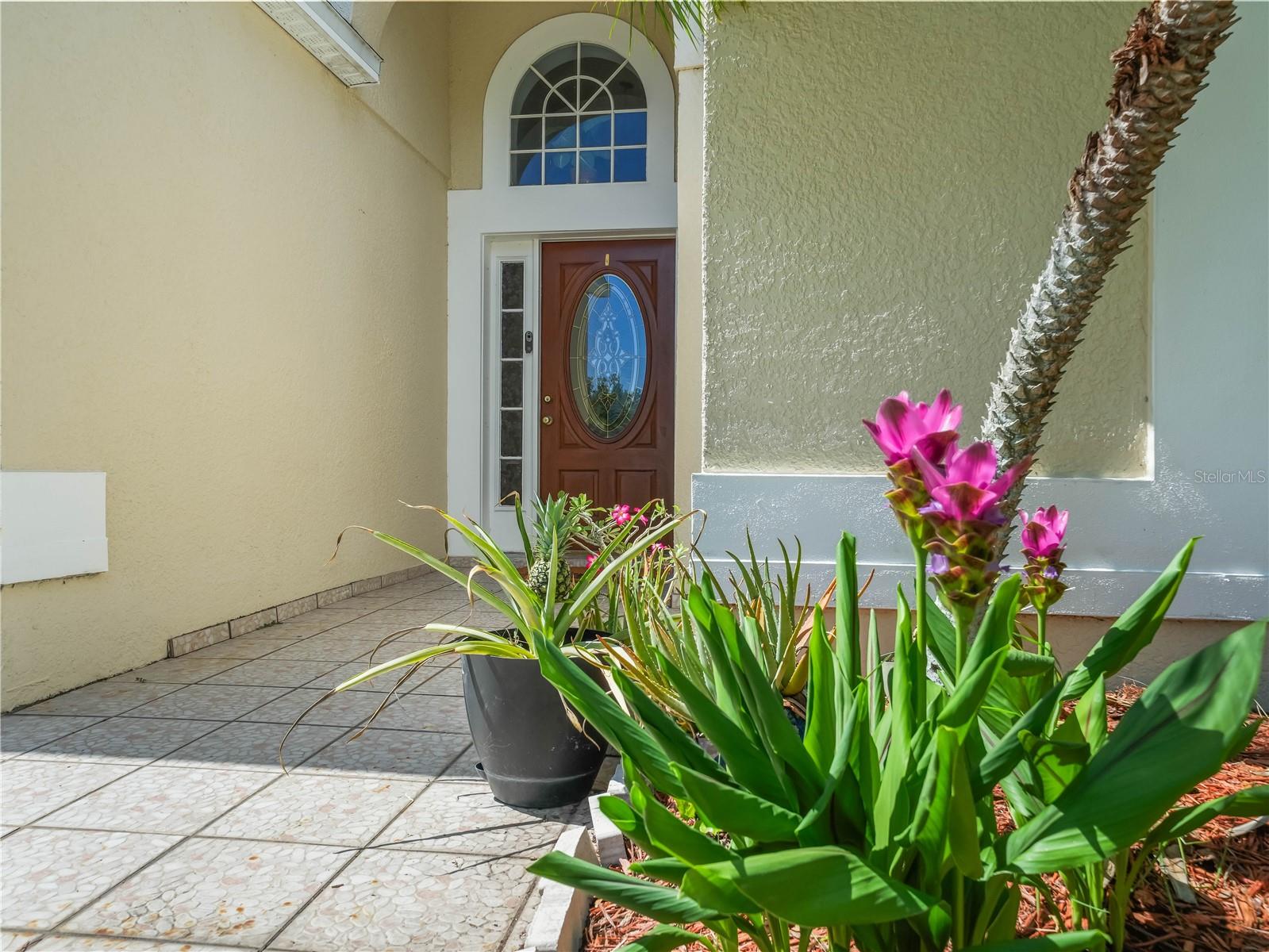 2538 CROWN RIDGE CIRCLE