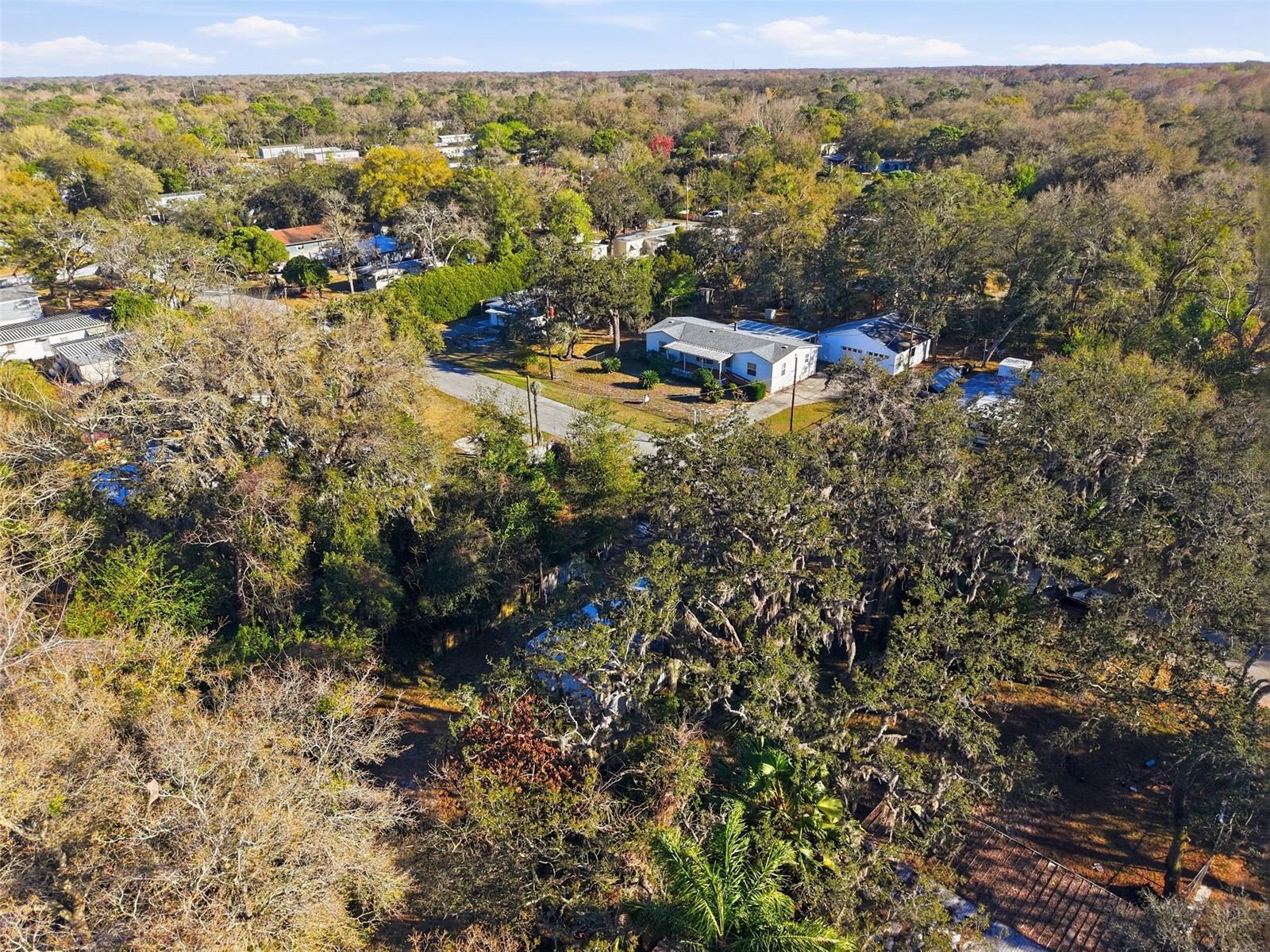 GRIFFIN PARK - Residential