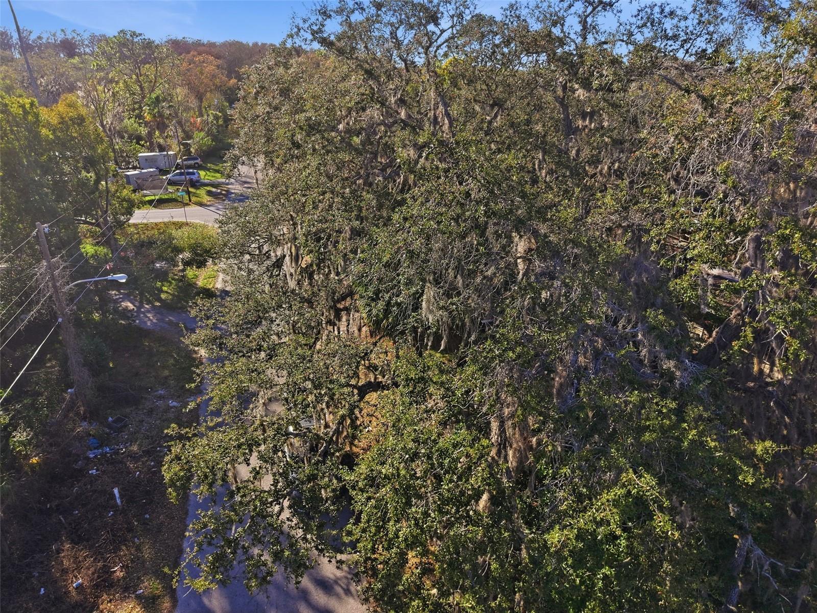 GRIFFIN PARK - Residential