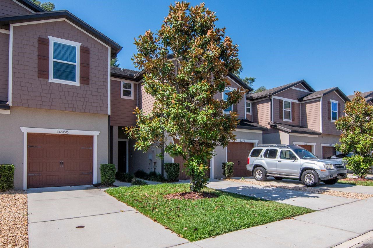 REGO PALMS - Residential