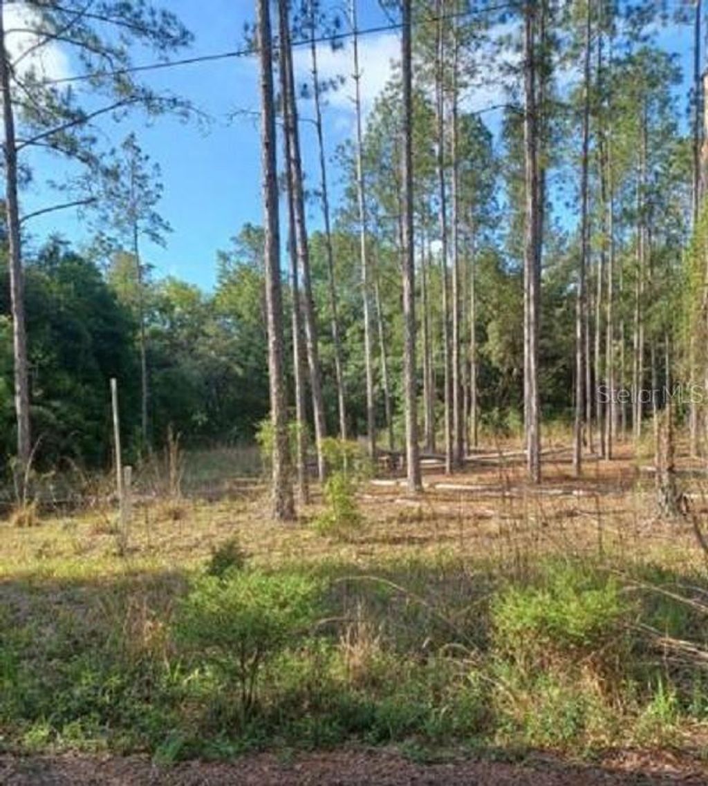 Photo of Tbd SW Corner Sw95 Ave\sw 158 Ln, Dunnellon, FL 34432 (MLS # OM659990)