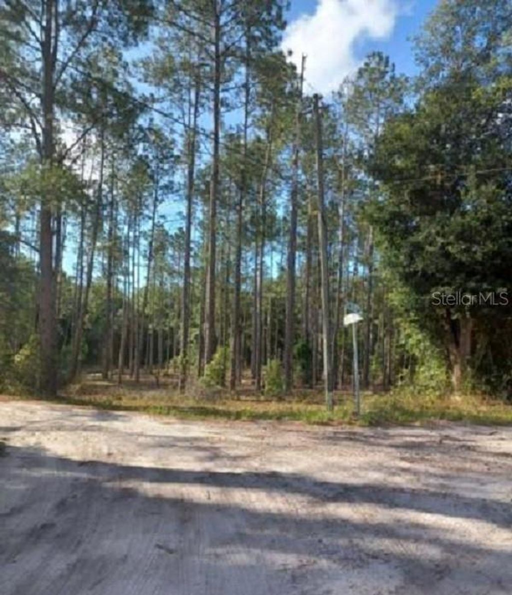 Photo of Tbd SW Corner Sw95 Ave\sw 158 Ln, Dunnellon, FL 34432 (MLS # OM659990)