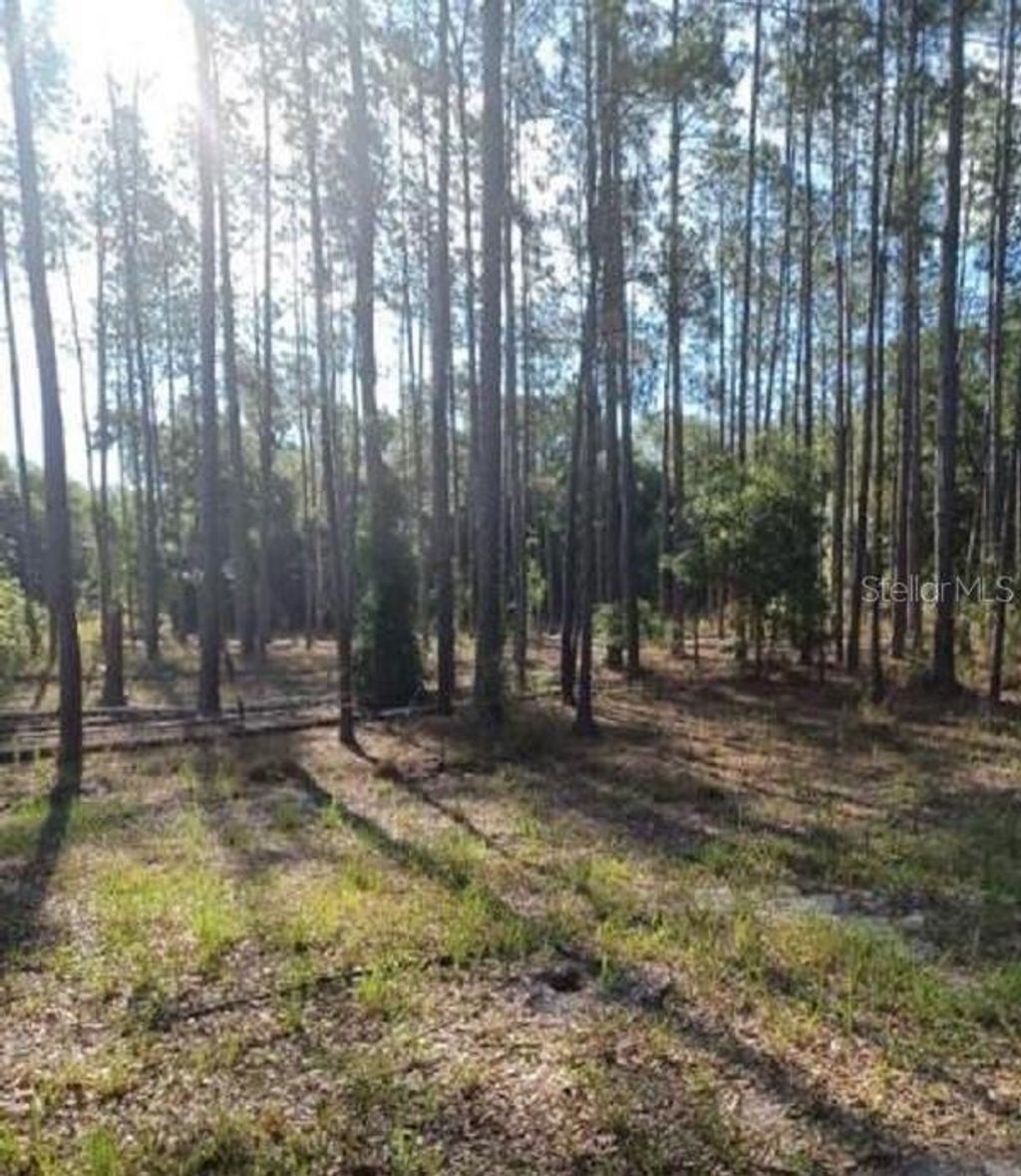 Photo of Tbd SW Corner Sw95 Ave\sw 158 Ln, Dunnellon, FL 34432 (MLS # OM659990)