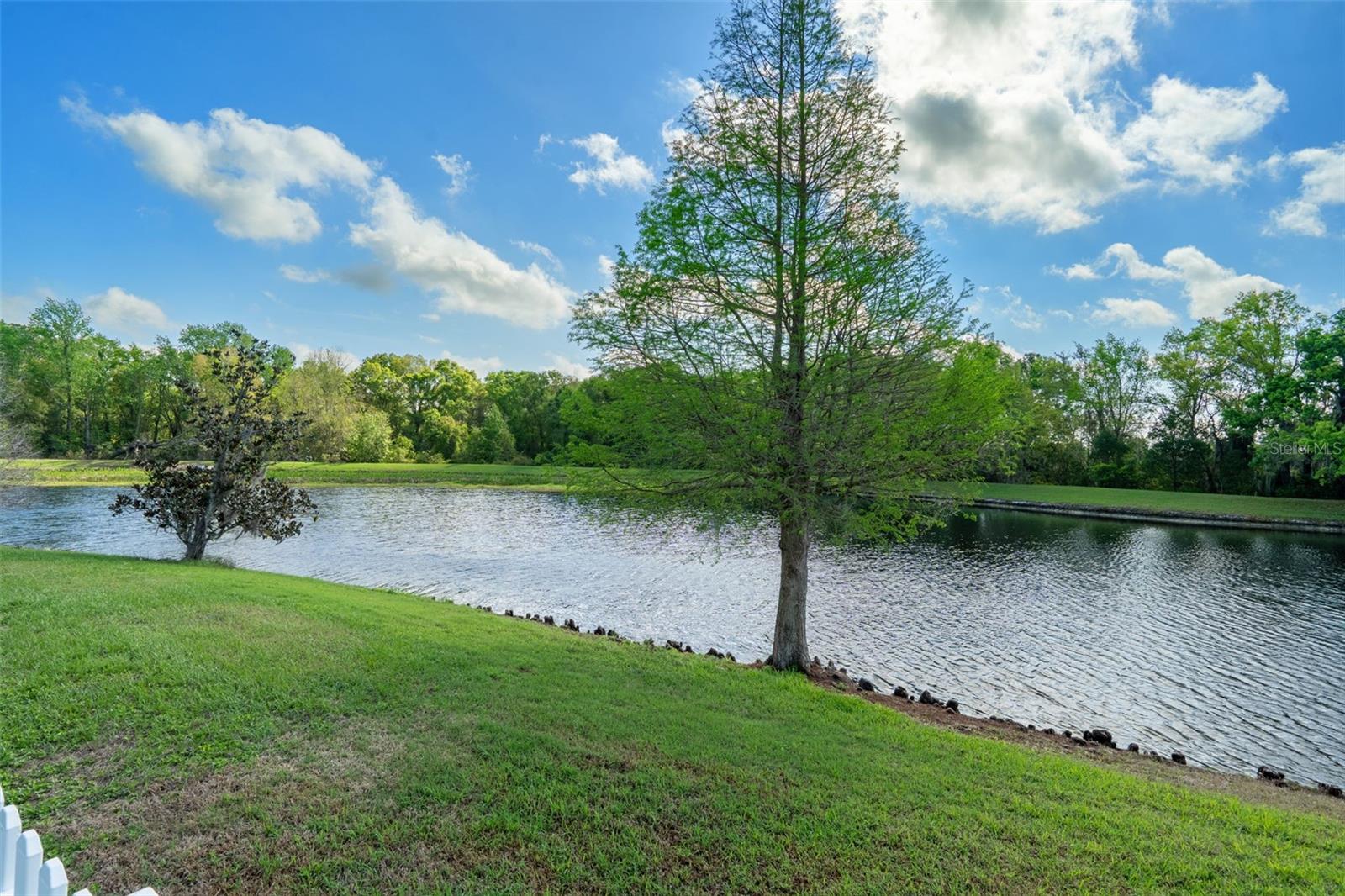 31812 SPOONFLOWER CIRCLE