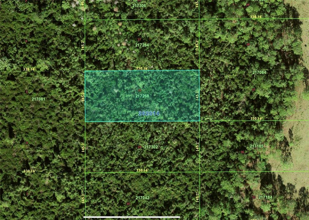 Photo of N/A Polk City, Fl, Polk City, FL 33868 (MLS # P4932192)