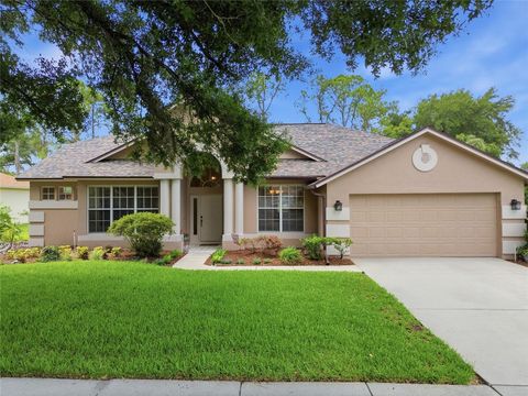 Photo of 4941 Willow Ridge Terrace, Valrico, FL 33596 (MLS # O6411963)