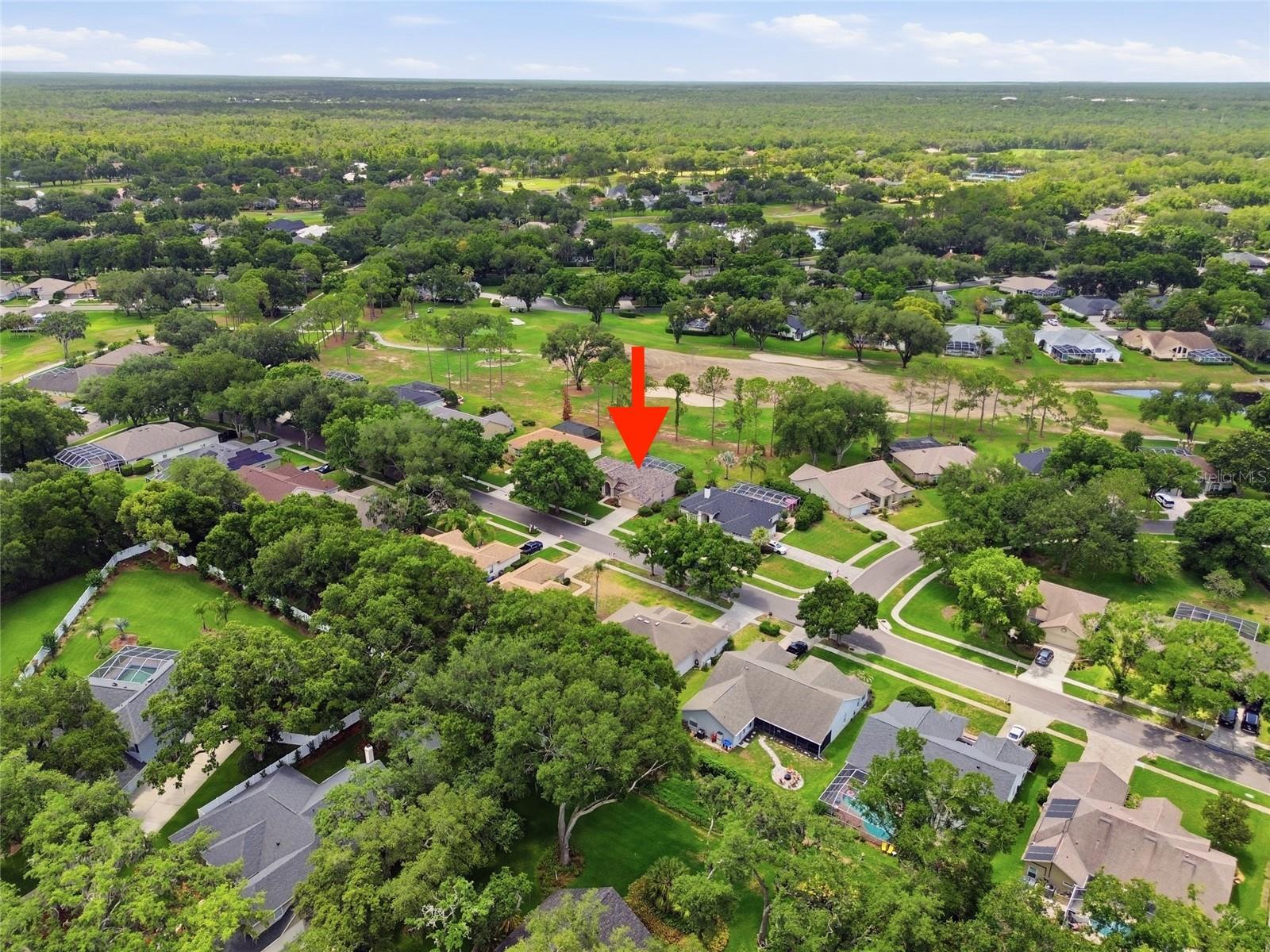 RIVER HILLS COUNTRY CLUB PH - Residential