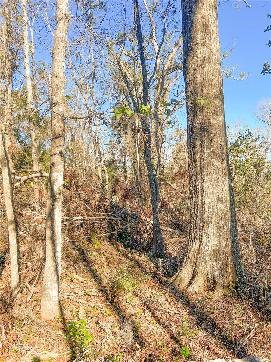 0 NW PIN OAK LANE