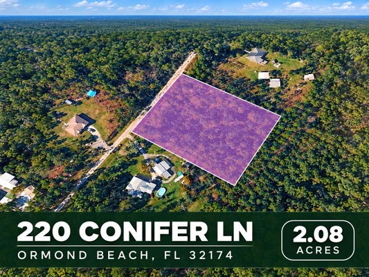 220 CONIFER LN, ORMOND BEACH, FL 32174 - Image 7dc90e25a58f2ae38edfb905265d0cc7/4230892009