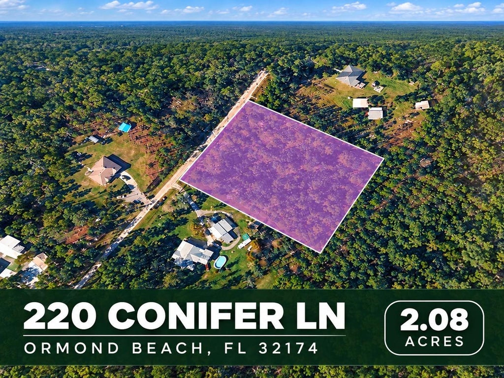 Photo of 220 Conifer Lane, Ormond Beach, FL 32174 (MLS # TB8547886)