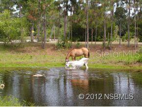 Cocoa Indian River Prop Map 01 Secs 16 17 - Residential