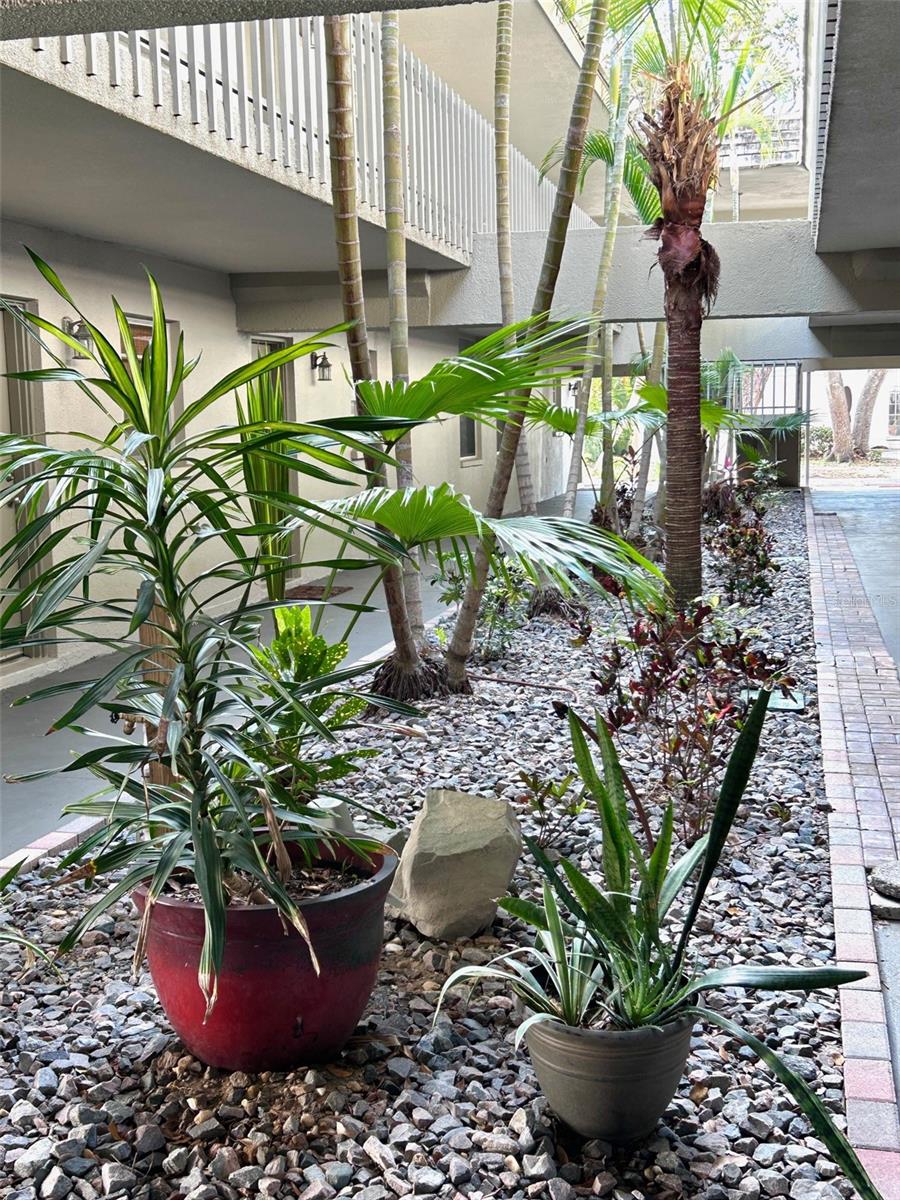 BERMUDA ON OSPREY - Residential Lease
