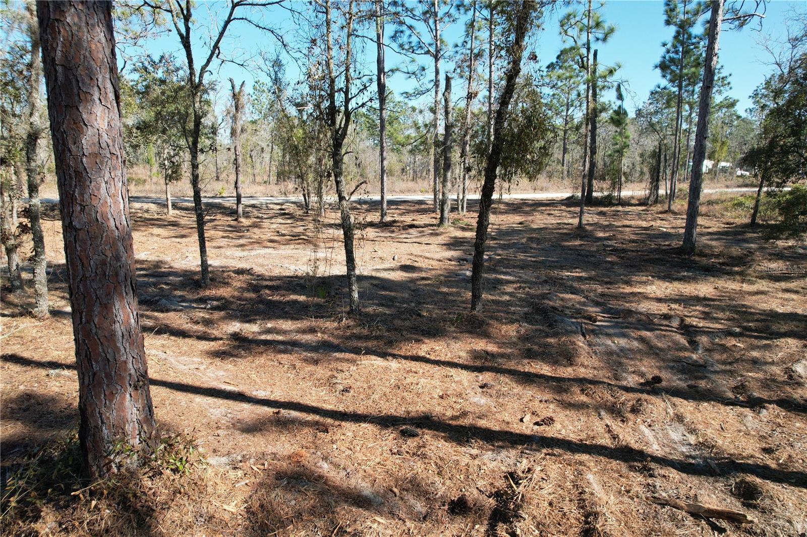 WILLISTON HLNDS - Land