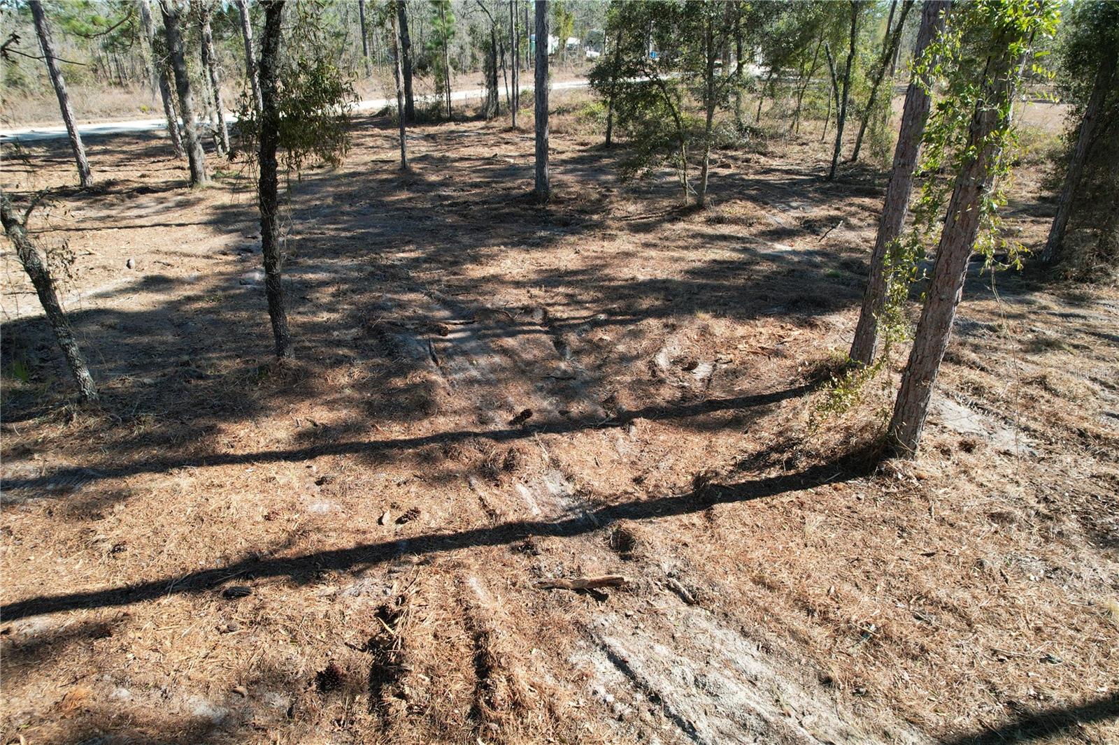 WILLISTON HLNDS - Land