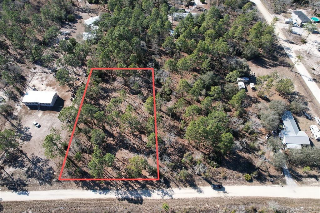 Photo of SE 134th Terrace, Morriston, FL 32668 (MLS # O6382690)