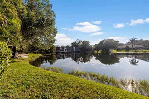 A home in TAMPA