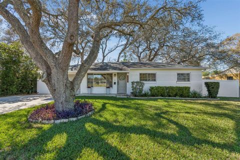 Photo of 10224 N Oakleaf Avenue, Tampa, FL 33612 (MLS # TB8478924)