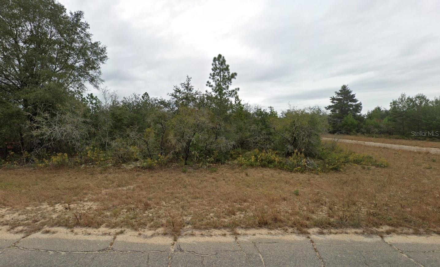 NEWMARK AVENUE 25