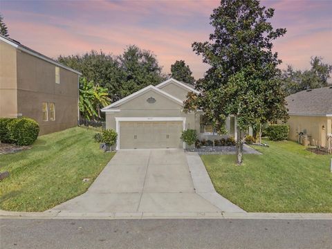 30242 TOKARA MOUNT DORA FL 32757