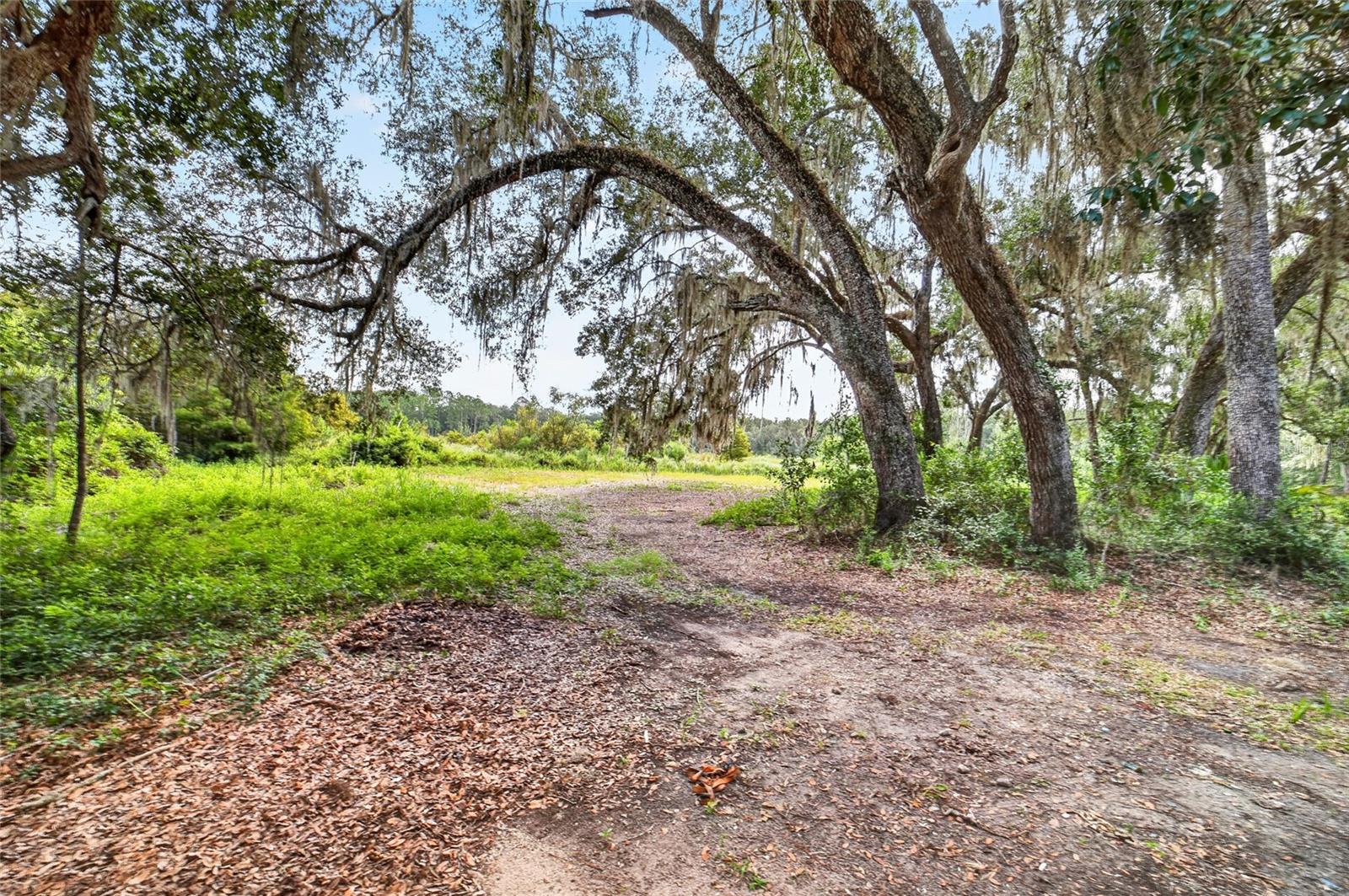 5686 E HIGHWAY 316