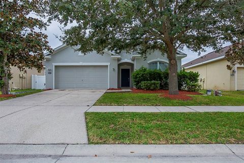 30652 PALMERSTON PLACE WESLEY CHAPEL FL 33545