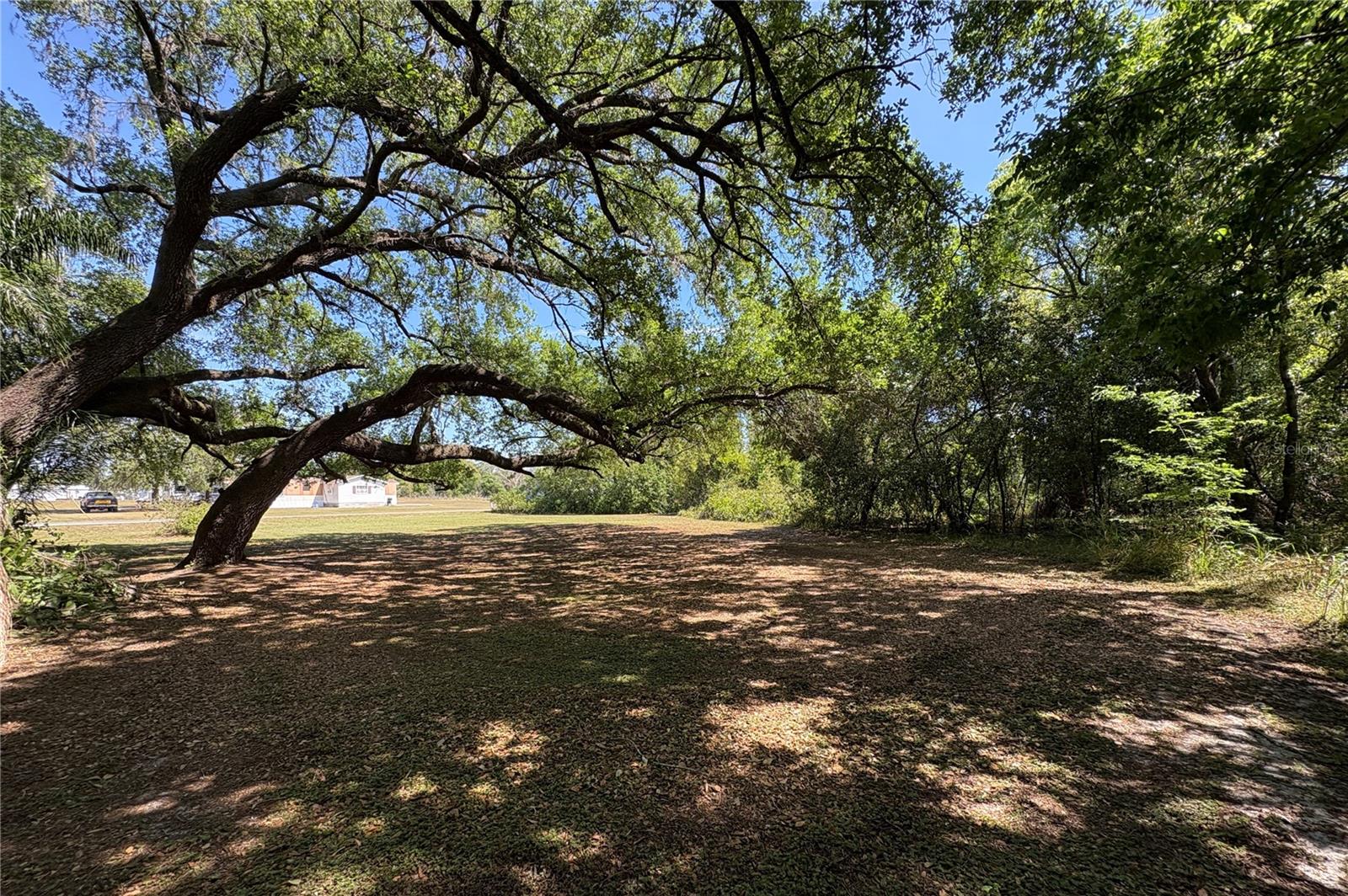 6642 LURE COURT