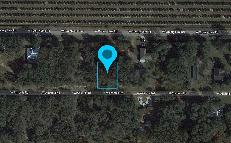 Build your dream home on this 80x100 residential lot in Avon Park. Located 5 minutes west of US Highway 27, this developing area offers the right balance of privacy and close proximity to the greater Avon Park community and nearby lakes. This property is just 5 minutes from the Highland Lakes Fire Department, 7 minutes from River Greens Public Golf Course, and 9 minutes from the Walmart Super Center. With land prices rising throughout Florida, now is the time to take advantage of affordable residential zoned land. No HOA. No Manufactured Homes Allowed. Well and Septic will be required. ELECTRICITY IS ALREADY NEARBY.