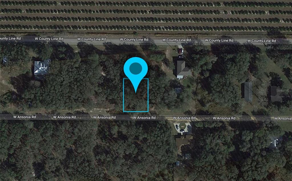 Photo of 3180 W Ansonia Road, Avon Park, FL 33825 (MLS # G5080664)