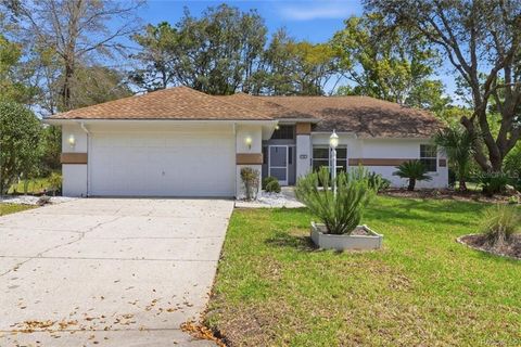 Photo of 13 Bonnie Court N, Homosassa, FL 34446 (MLS # OM721561)