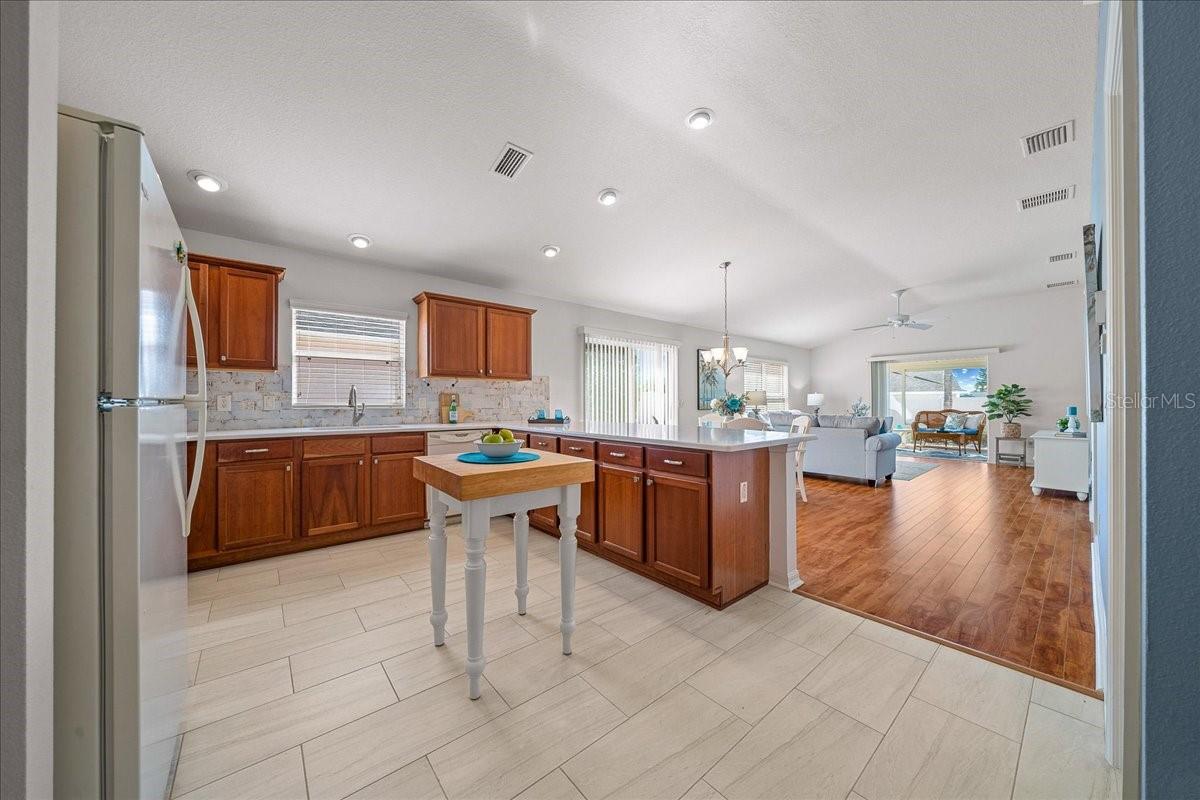 VILLAGES OF SUMTER ANITA VILLAS - Residential