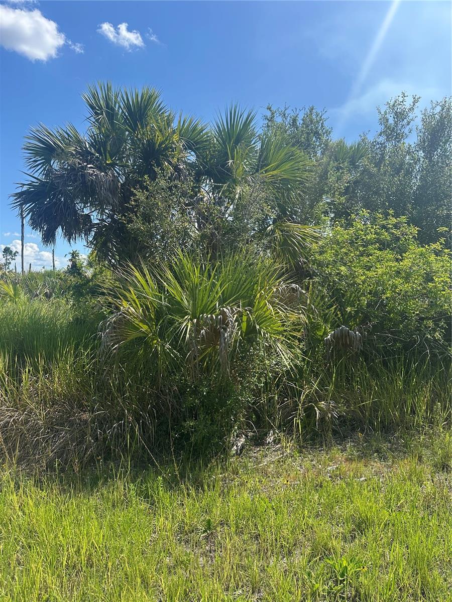 Exceptional Opportunity in North Port Build Your Dream in a Booming Florida Hotspot! Seize the chance to own a prime residential lot in the rapidly growing and highly sought-after city of North Port, Florida-one of Southwest Florida's most exciting and dynamic communities. This peacefully located parcel offers no HOA fees, no deed restrictions, and no CDDs, giving you the freedom to design and build exactly what you envision. Plus, as of May 2025, this lot is not listed on the North Port Scrub Jay map (buyer to verify during due diligence). Just minutes from I-75, this ideal location ensures easy commuting while keeping you close to everything-shopping, dining, top-rated schools, parks, golf courses, and world-class fishing. With new construction all around, it's clear that North Port is on the rise, making this the perfect time to invest in your future. Love the beaches? You're in luck-stunning Gulf Coast beaches are just a quick 25-minute drive away, where you can unwind with the sand between your toes and breathtaking sunsets at your fingertips. Sports fans will appreciate being near MLB Spring Training stadiums to catch the games. Whether you're planning to build your forever home or looking for a savvy investment, this property offers unlimited potential in a thriving area. Need help getting started? Local builder referrals are available upon request. Don't miss out on this incredible opportunity in one of Southwest Florida's most exciting and up-and-coming cities!