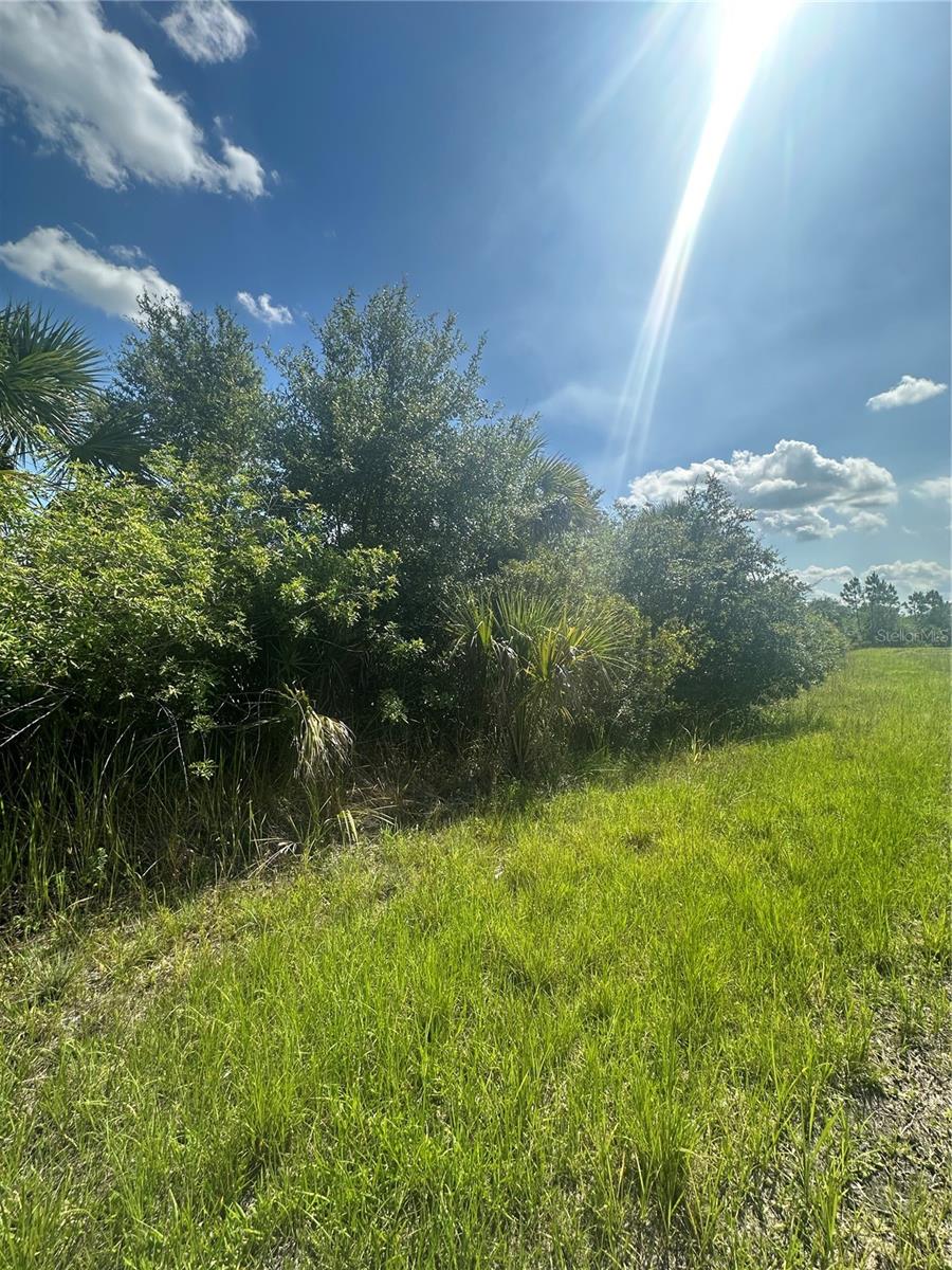 PORT CHARLOTTE SUB 46 - Land