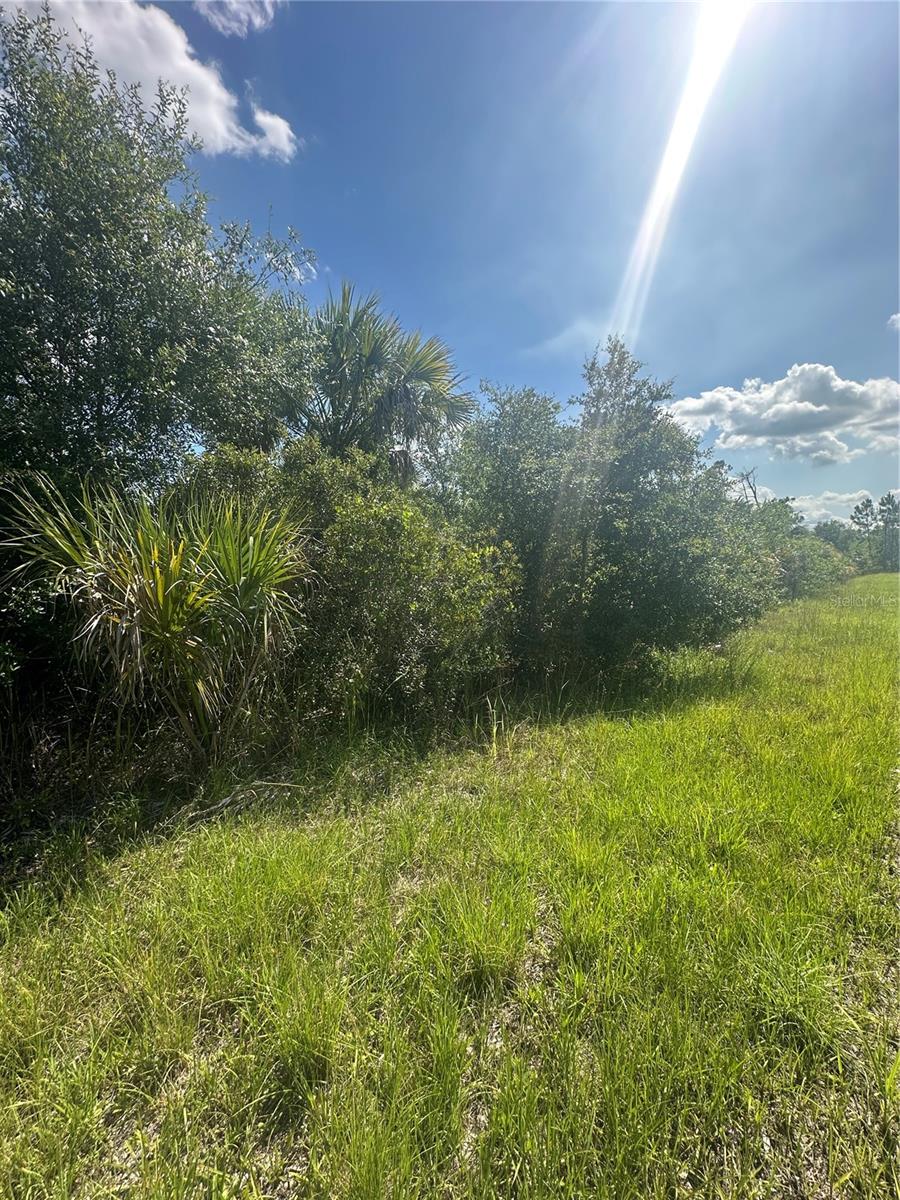 PORT CHARLOTTE SUB 46 - Land