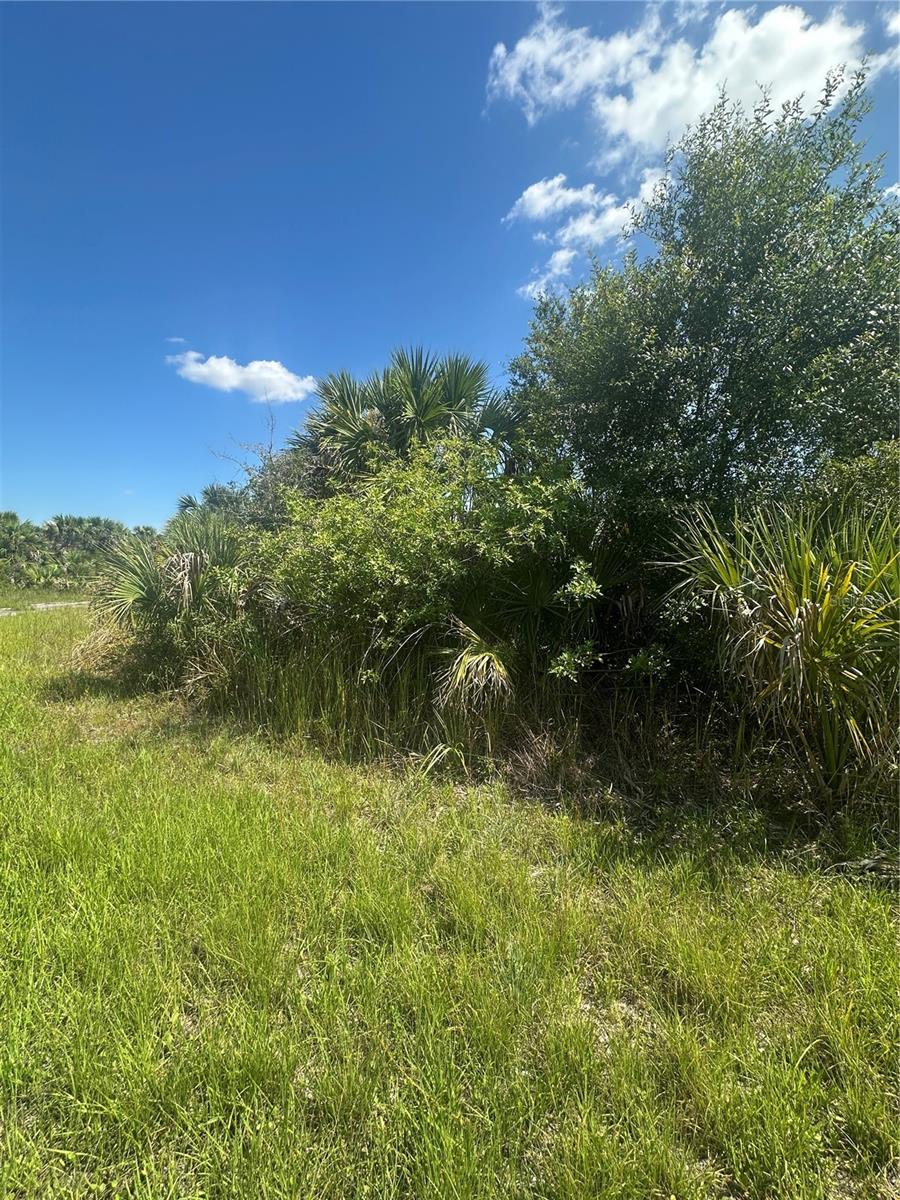 PORT CHARLOTTE SUB 46 - Land