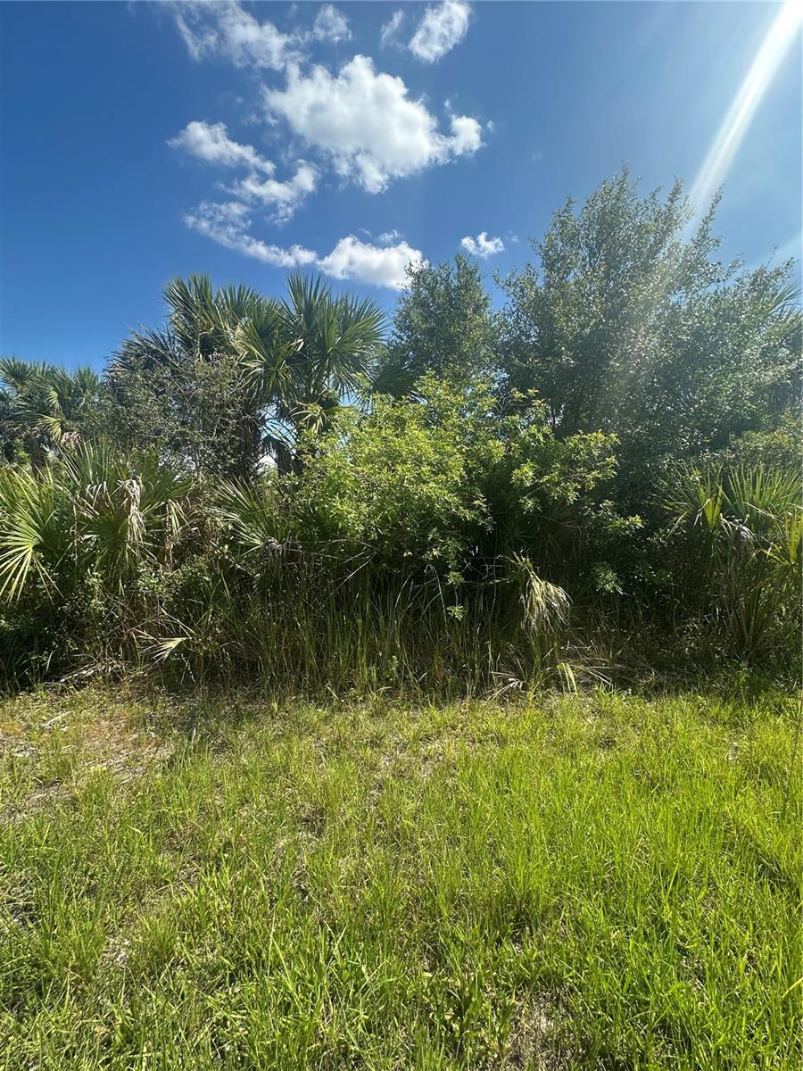 PORT CHARLOTTE SUB 46 - Land