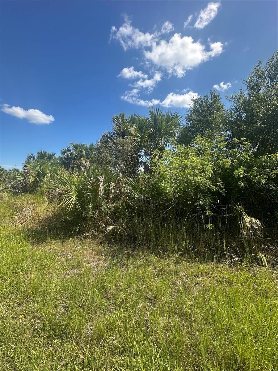 PORT CHARLOTTE SUB 46 - Land