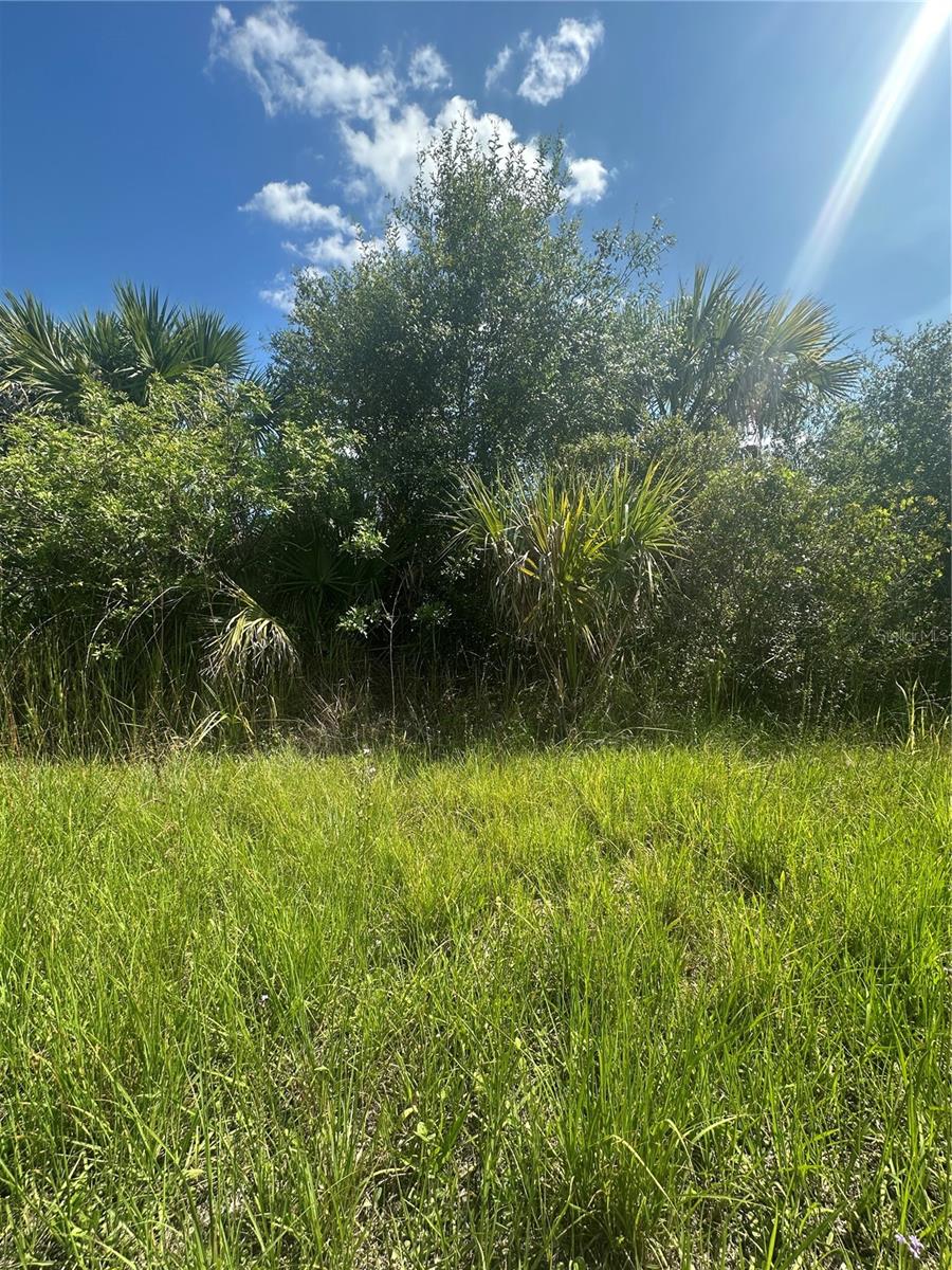 PORT CHARLOTTE SUB 46 - Land