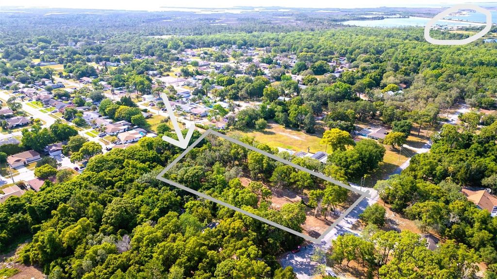 Photo of 16219 Larson Lane, Hudson, FL 34667 (MLS # TB8358545)