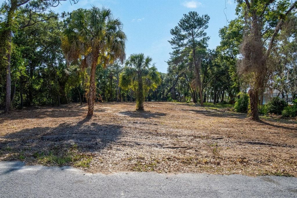 Photo of 16219 Larson Lane, Hudson, FL 34667 (MLS # TB8358545)