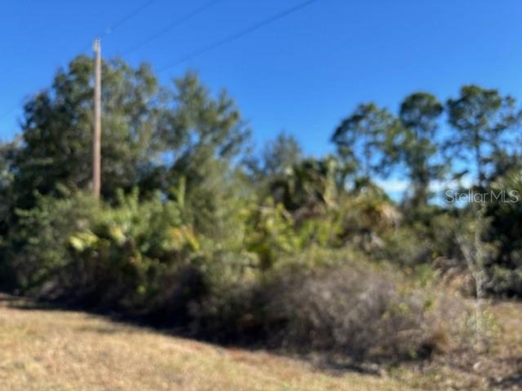 Photo of 28165 Monte Cristo Drive, Punta Gorda, FL 33955 (MLS # C7520477)