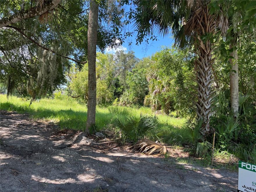 COMMERCIAL LOT ZONED MU-D, COMMERCIAL OR RESIDENTIAL USE IN THE FAST-GROWING AREA OF APOPKA. READY TO MAKE Y0UR DREAMS A REALITY. CALL FOR MORE INFORMATION.