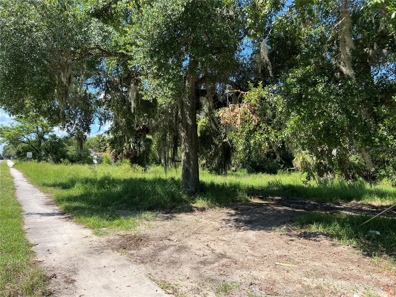 APOPKA TOWN - Land