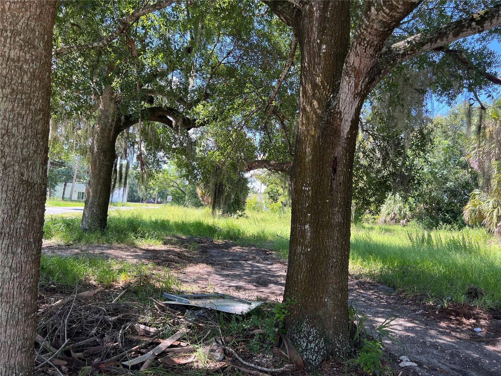 APOPKA TOWN - Land