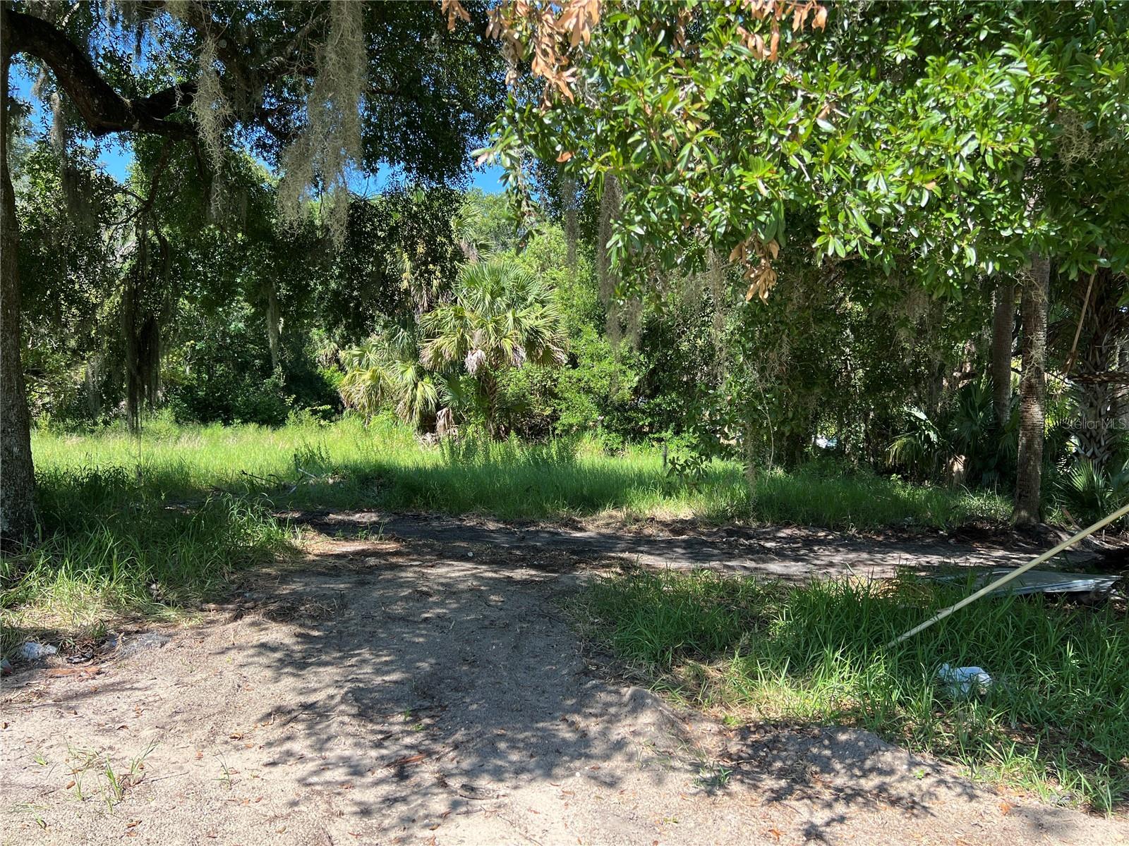 APOPKA TOWN - Land