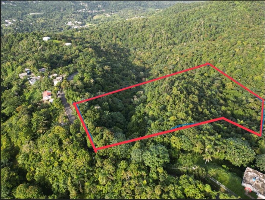 Discover the perfect balance between nature, tranquility, and accessibility. This 7-acre land in Bo. Cagüitas offers an incredible canvas for those seeking to build their dream project — whether it’s a countryside retreat, an eco-tourism destination, or an agricultural development.

A Land Full of Possibilities:
Imagine waking up surrounded by lush greenery, fresh mountain air, and the peaceful sounds of nature — all while being just 35 minutes away from San Juan. The property’s ample size allows for endless possibilities: from creating a private estate or a family compound, to developing cabins, glamping sites, or a self-sustainable farm.

Prime Location with Easy Access:
Located in a serene yet easily accessible area, this property combines the calm of rural living with the convenience of quick access to urban centers, shops, and services.

 Ready for Development:
Nearby utility connections make the process smoother for future construction or agricultural use. Its CR-RG zoning supports a variety of uses, including residential, rural, and green development initiatives.

Investment Potential:
This land represents not only an affordable entry into property ownership but also a long-term investment in one of Puerto Rico’s most naturally beautiful and strategic locations.

Whether you envision a peaceful retreat, a farm-to-table venture, or a sustainable living project — this property is the foundation where your vision can take root and grow.