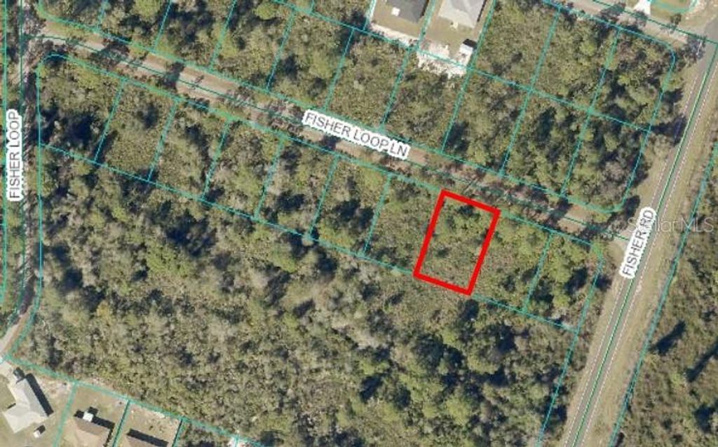 Photo of 0 Fisher Loop Lane, Ocklawaha, FL 32179 (MLS # OM685884)